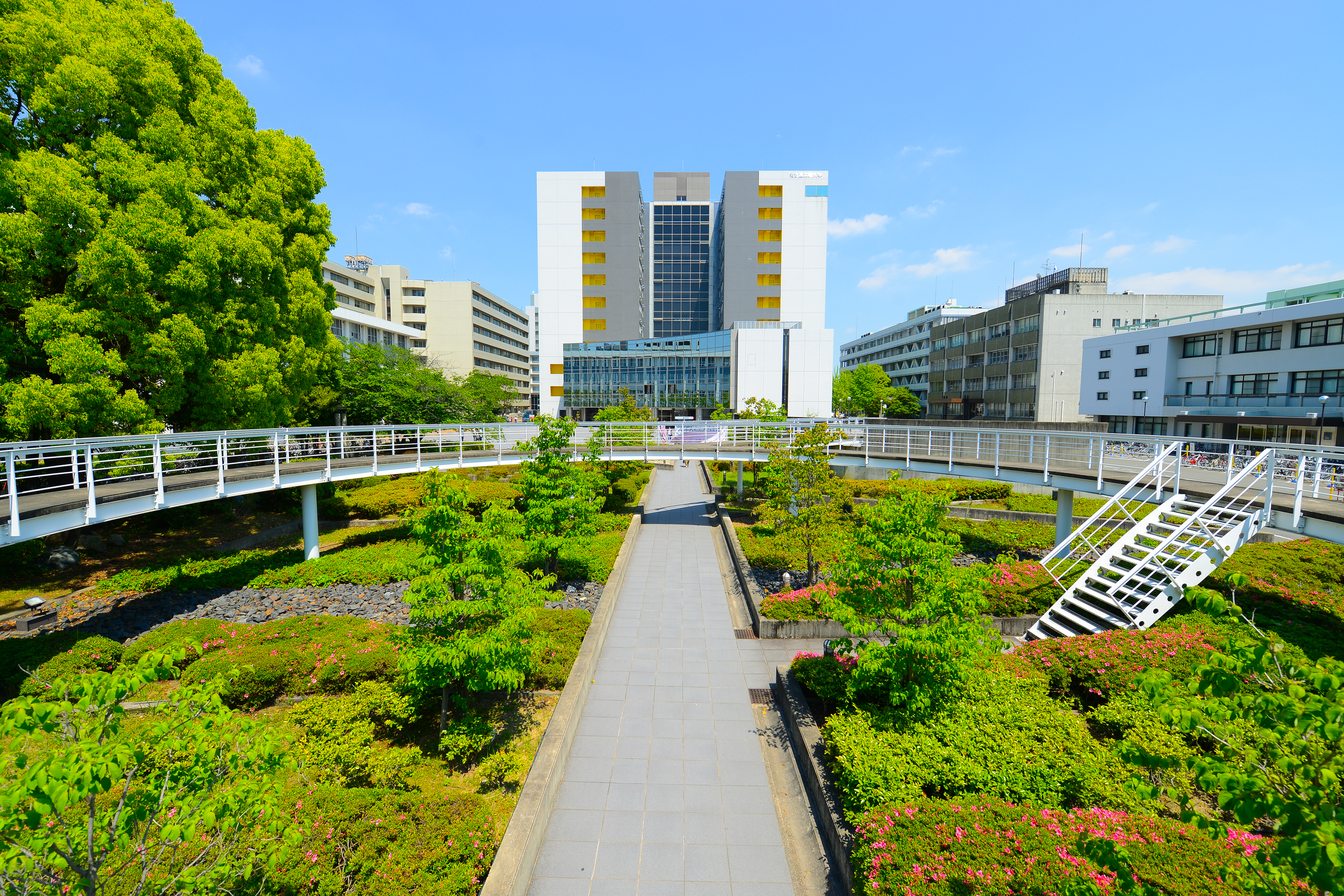 名古屋工業大学