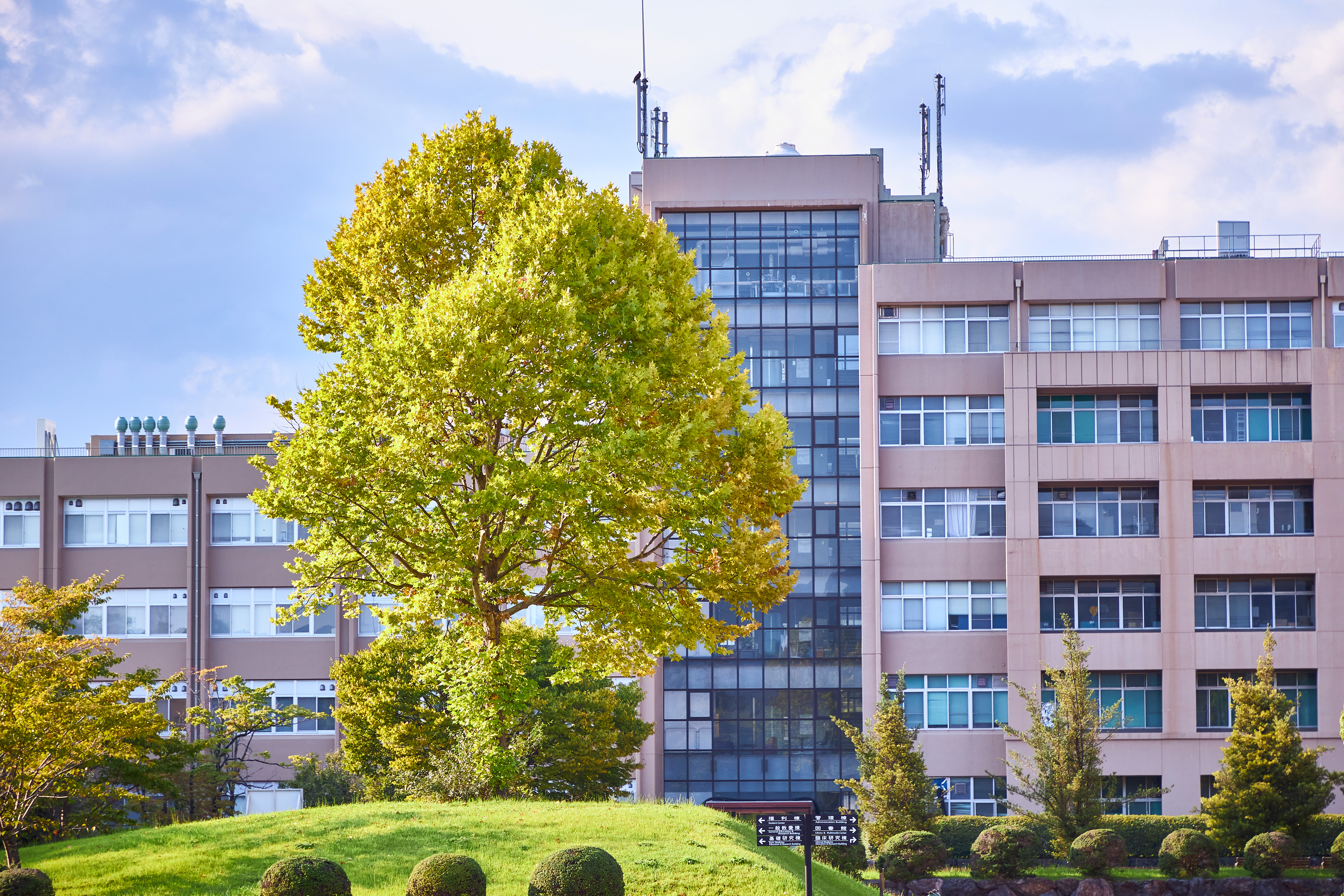 滋賀医科大学医学部医学科 入試情報 | 滋賀医科大学